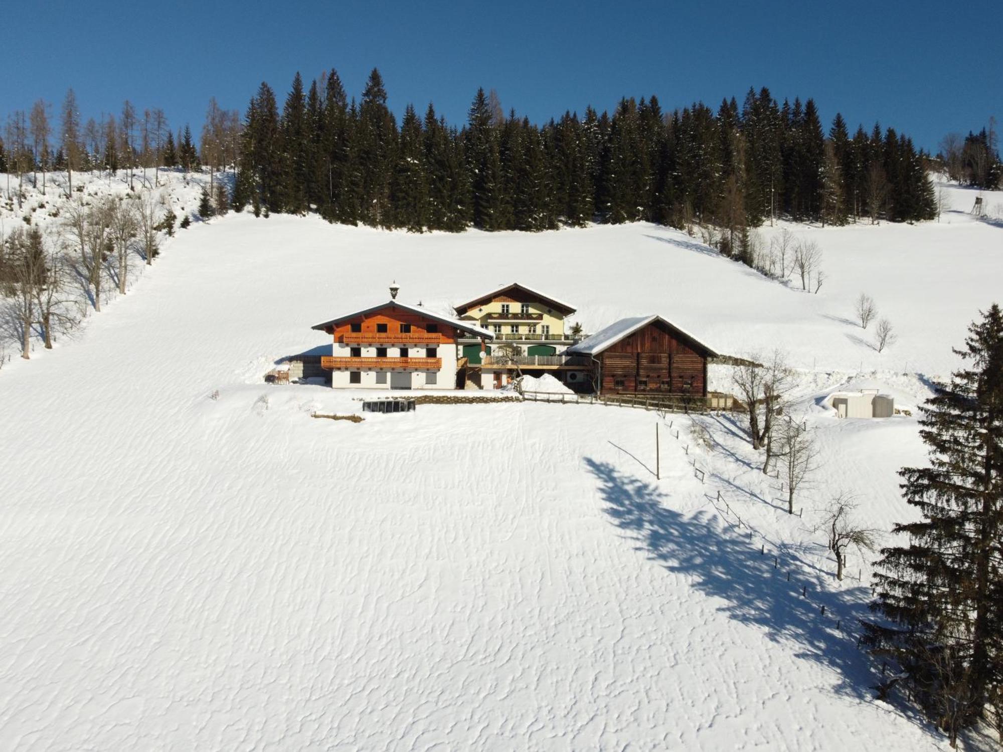 Klammgut Apartment Wagrain Exterior photo